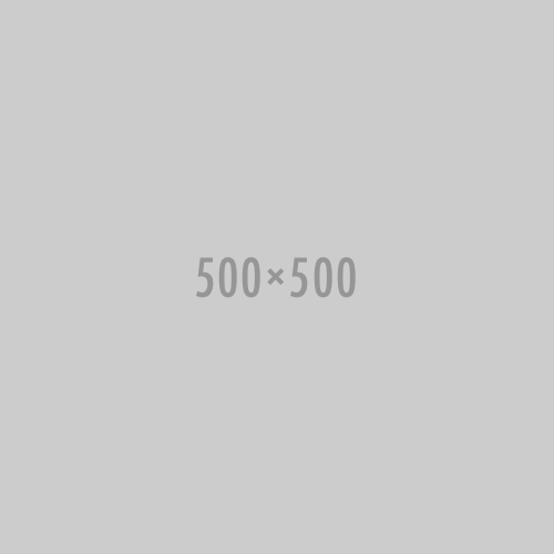 500x500